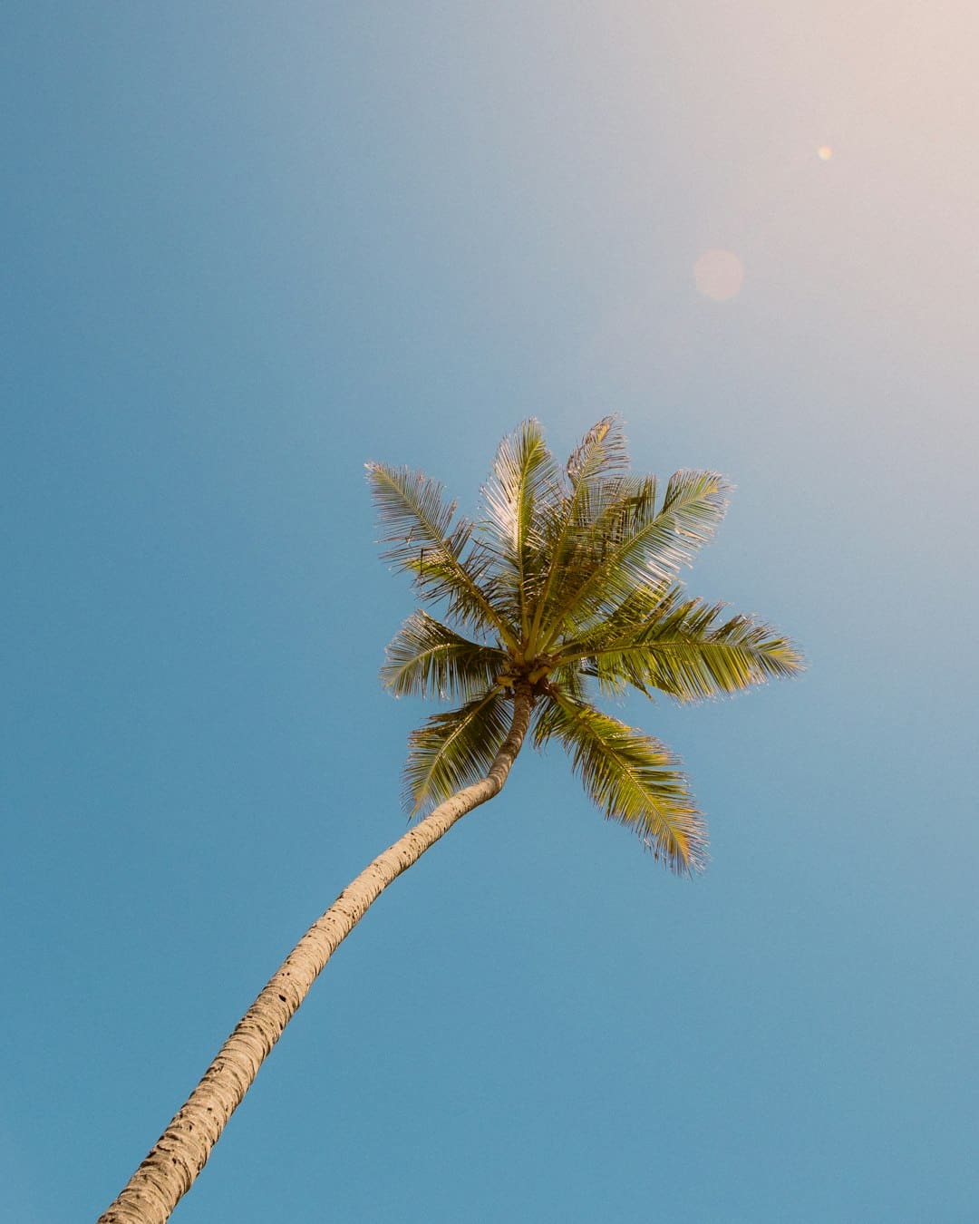 长春：“清凉经济”开释夏天消费新动能